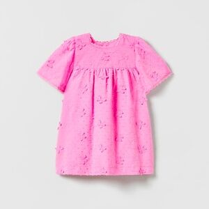 Zara Embroidered Butterfly Dress